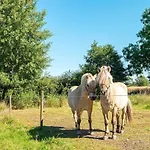 11 Person In Orsted-by Traum * Orsted (Midtjylland)