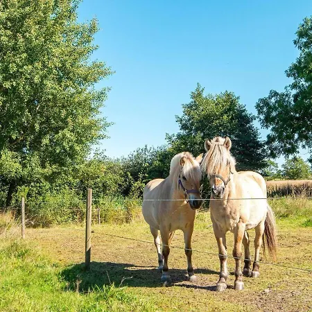 11 Person In Orsted-by Traum * Ørsted