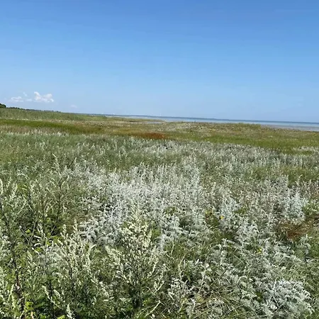 11 Person In Orsted-by Traum 別荘 Ørsted