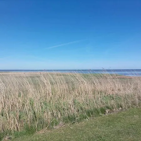 11 Person In Orsted-by Traum *