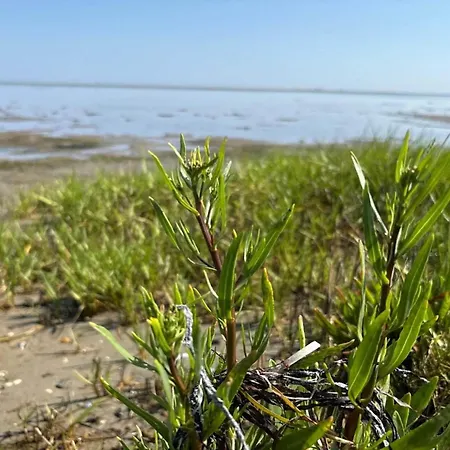 11 Person In Orsted-by Traum Ørsted