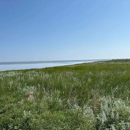 11 Person In Orsted-by Traum *